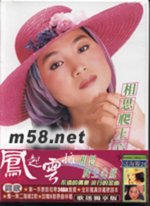 鳳起云擁之相思爬上心底專輯正面圖片