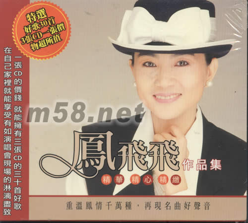 精華精心精致作品集專輯正面圖片