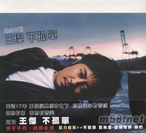 不孤單專輯正面圖片