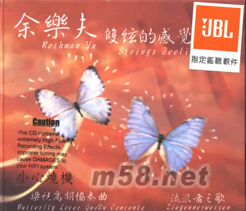 雙弦的感覺專輯正面圖片