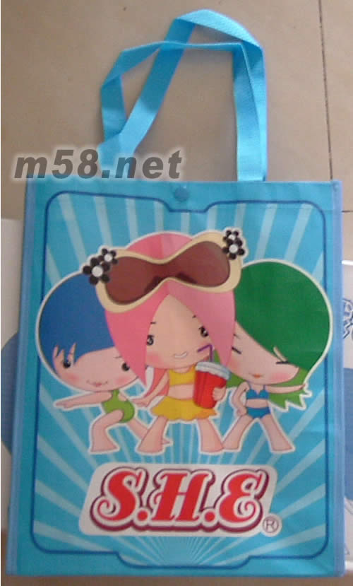 奇幻樂園演唱會作戰包包包第二面大圖