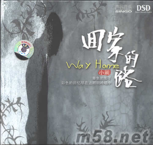 回家的路DSD專輯正面圖片