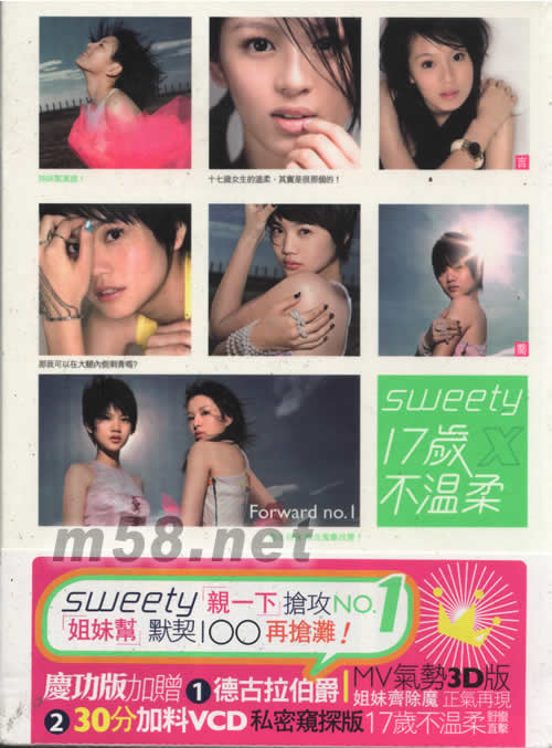 17歲 x 不溫柔(慶功版)專輯正面圖片