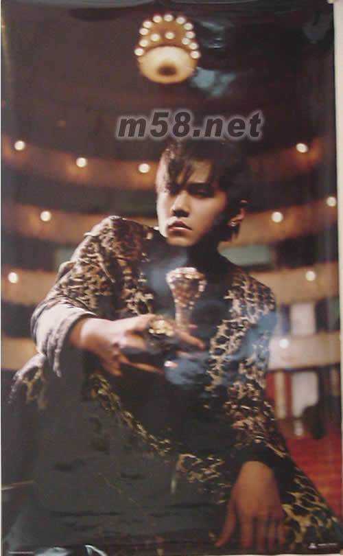 11月的蕭邦(香港預購限量版)海報正面圖片