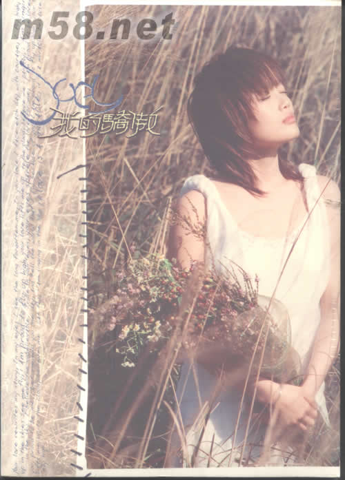 我的驕傲(AVCD版)專輯正面圖片