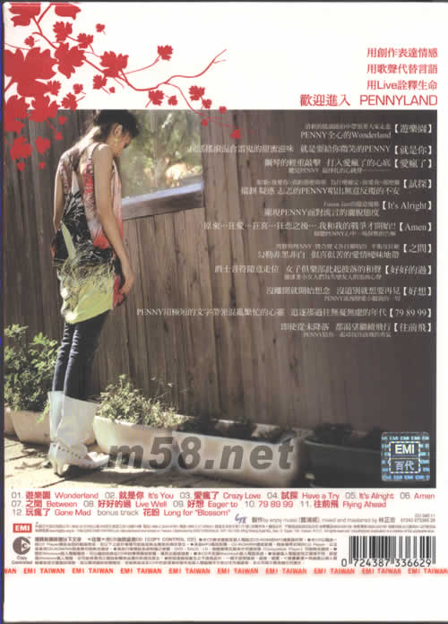 愛瘋了專輯背面圖片