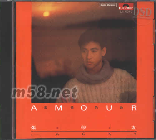 AMOUR遙遠的她DSD版(大碟全集系列)專輯正面圖片