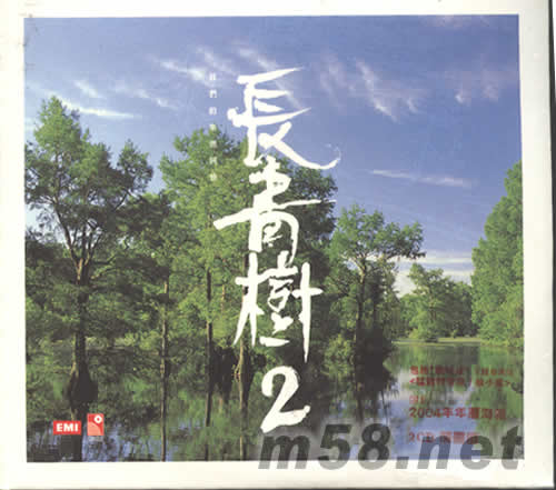 長青樹2專輯正面圖片