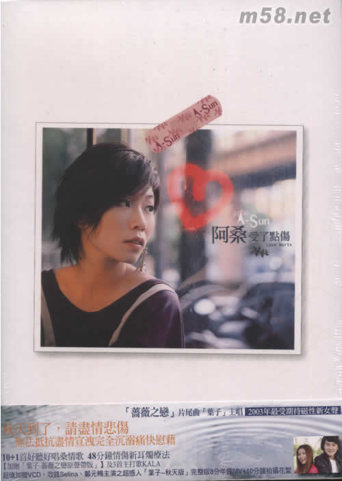 受了點傷專輯正面圖片