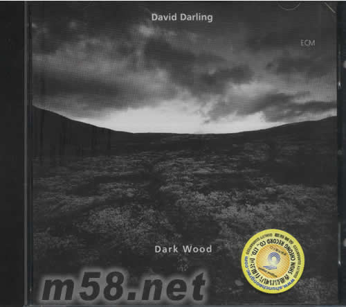 DARK WOOD 黑木專輯正面圖片