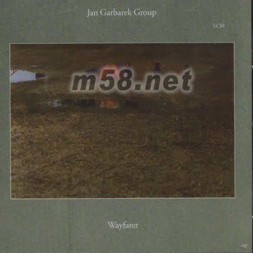 WAYFARER專輯正面圖片