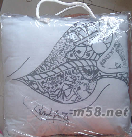 孫燕姿抱枕抱枕背面圖片