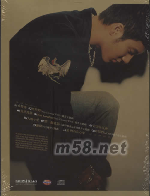 蓋世英雄 正式版專輯背面圖片