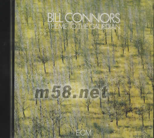 THEME TO THE GAURDIAN專輯正面圖片