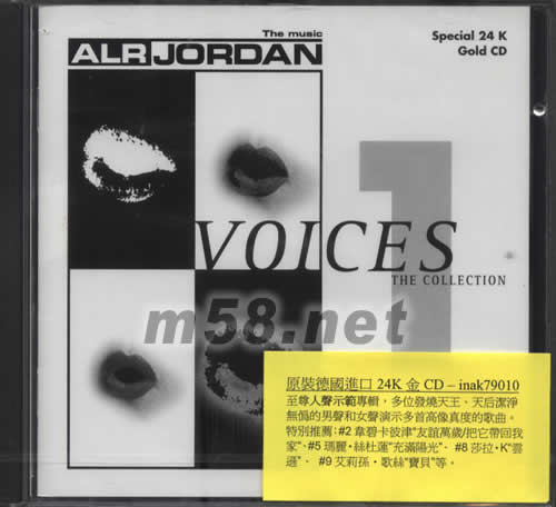VOICES THE COLLECTION專輯正面圖片