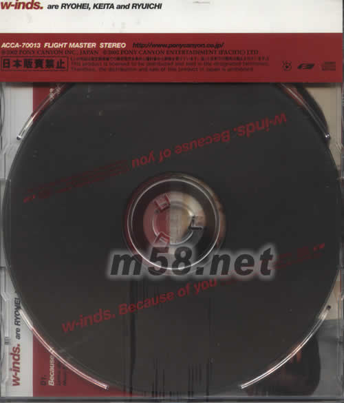 W-INDS BECAUSE OF YOU專輯背面圖片