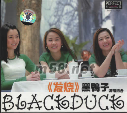 發(fā)燒,黑鴨子演唱組合專輯正面圖片