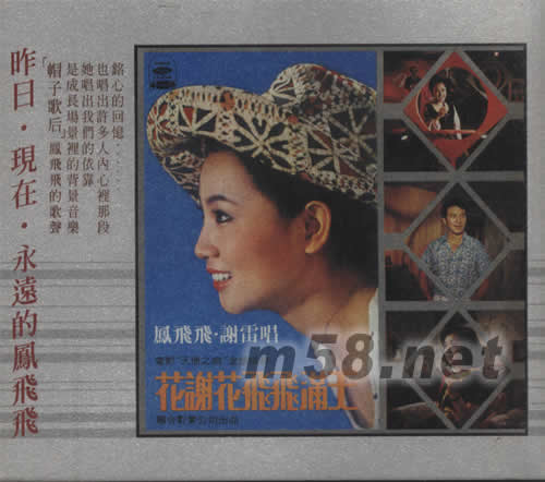 鳳飛飛 寒星專輯正面圖片