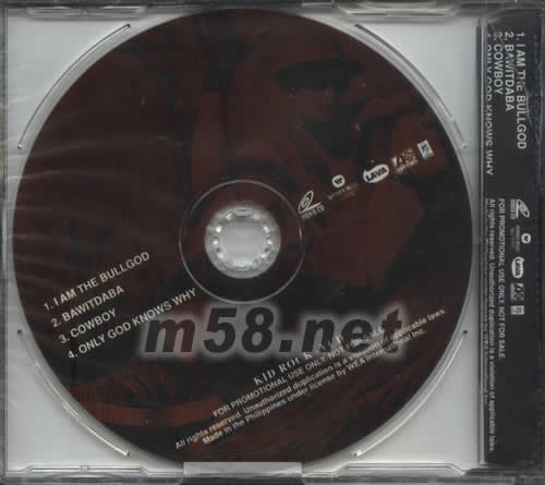 THE HISTORY OF ROCK專輯背面圖片