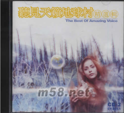 天籟地球村精選輯(廣告集輯)專輯正面圖片