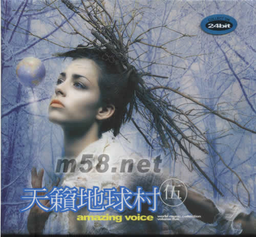 天籟地球村(五)千禧精裝限量版專輯正面圖片