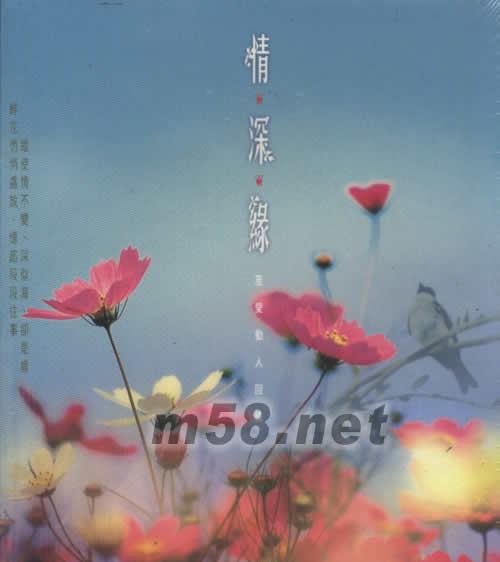 情深緣 至愛動人回憶專輯正面圖片