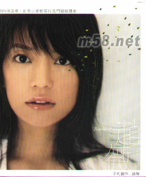 飄 手札創作……趙薇專輯背面圖片