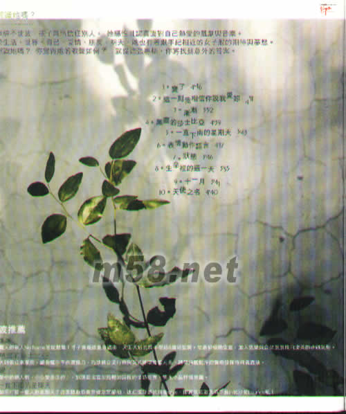 飄 手札創作……趙薇專輯正面圖片