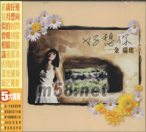 好想你專輯正面圖片