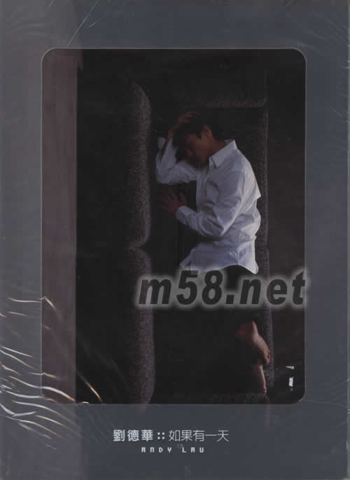 如果有一天 劉德華專輯正面圖片