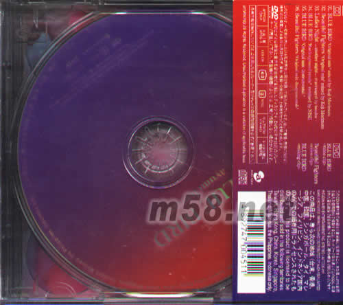 BLUE BIRD A盤(海外版)CD+DVD專輯背面圖片