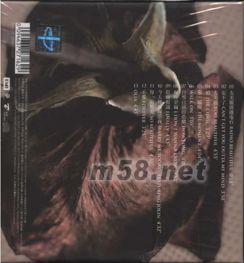 太美麗(臺灣版)專輯背面圖片