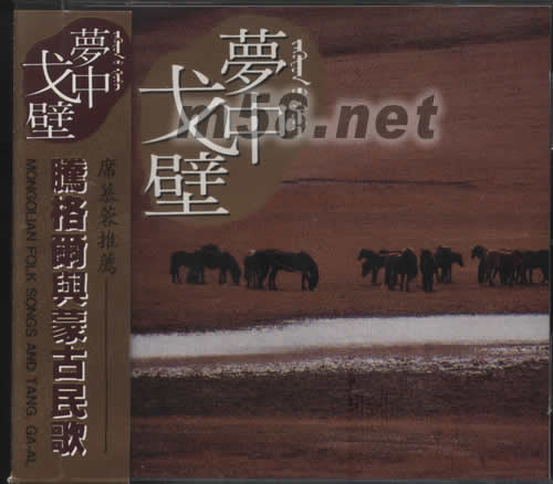 夢中戈壁專輯正面圖片