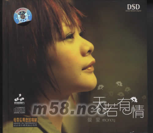 天若有情專輯正面圖片