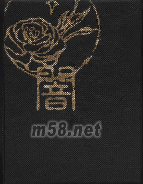 陳珊妮畫集畫集背面圖片