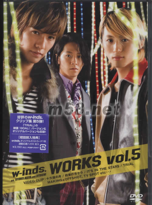 WORK VOL 5 DVD(日本版)專輯正面圖片