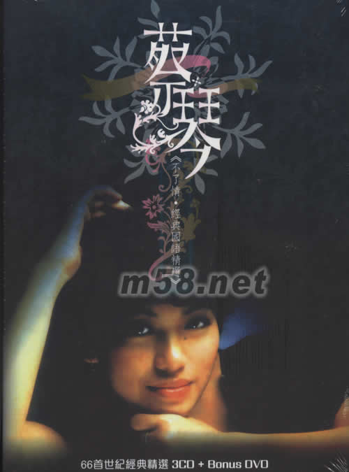 不了情·經典國語精選(四碟裝黑色封面)專輯正面圖片