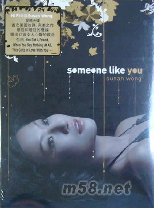 SOMEONE LIKE YOU似曾相識專輯正面圖片