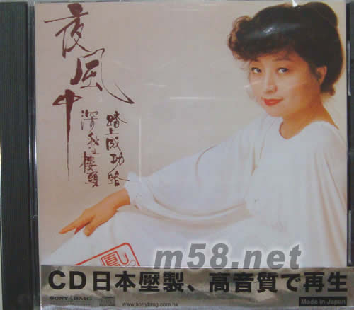 夜風(fēng)中專輯正面圖片