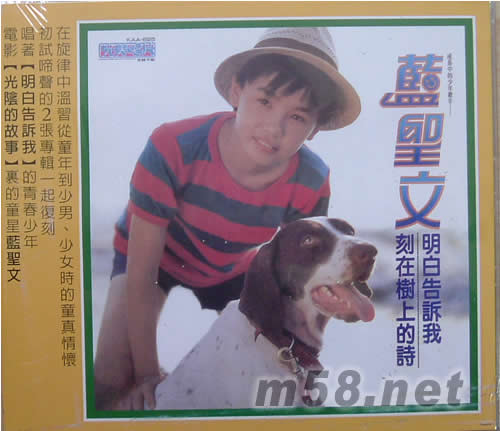 明白告訴我 刻在樹上的詩專輯正面圖片