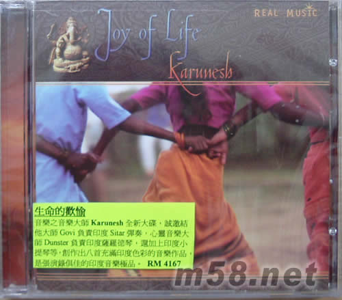 生命的歡愉 JOY OF LIFE 新世紀純音樂專輯正面圖片