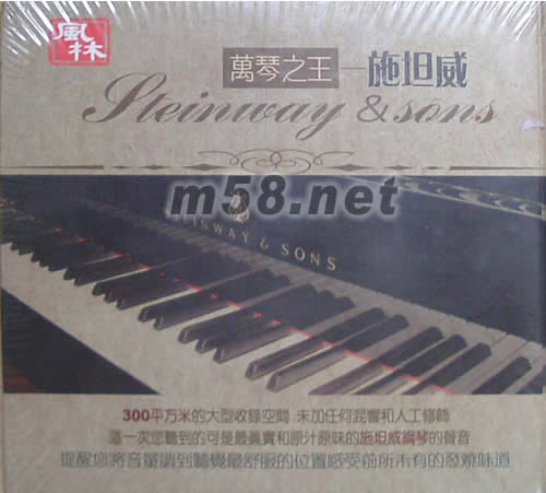 王崴 情有獨(dú)鐘1 萬(wàn)琴之王專輯背面圖片