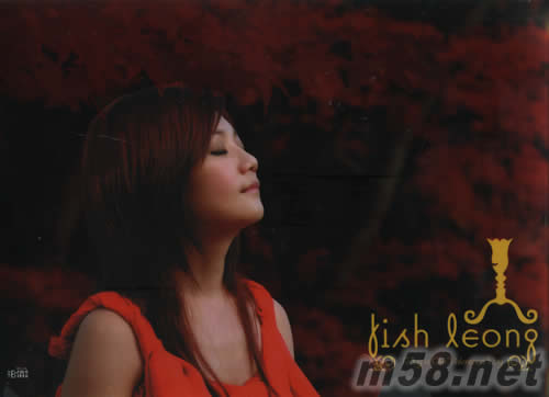 情人節文件夾TODAY IS OUR VALENTINE‘S DAY文件夾圖片之三