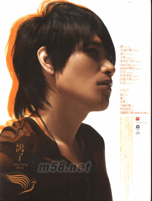 鴿子(影音升級慶功版)專輯背面圖片