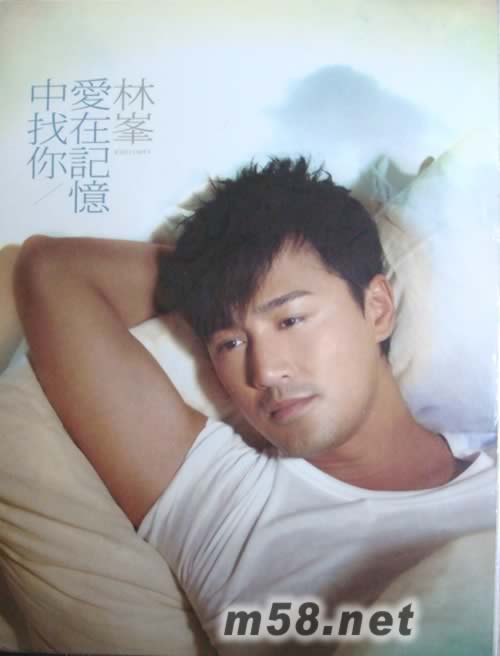 愛在記憶中找你專輯正面圖片