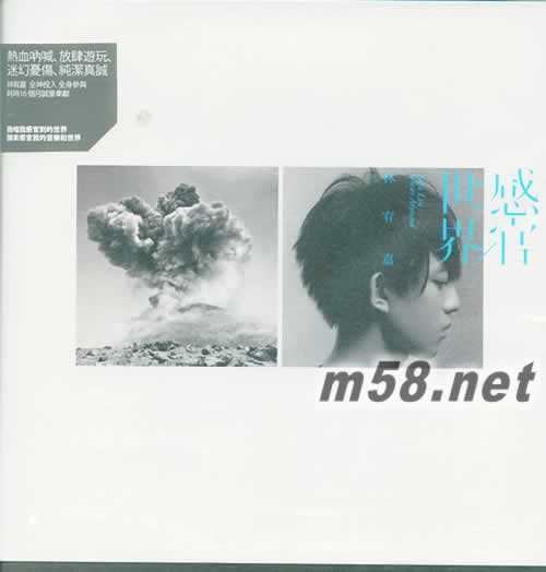 感官/世界 正式版專輯正面圖片