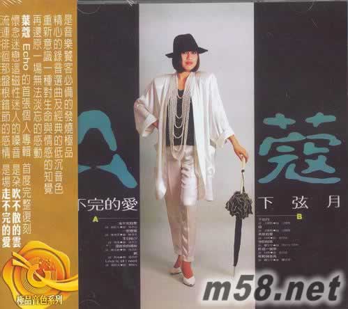 葉蔻 A蔻 走不完的愛專輯正面圖片