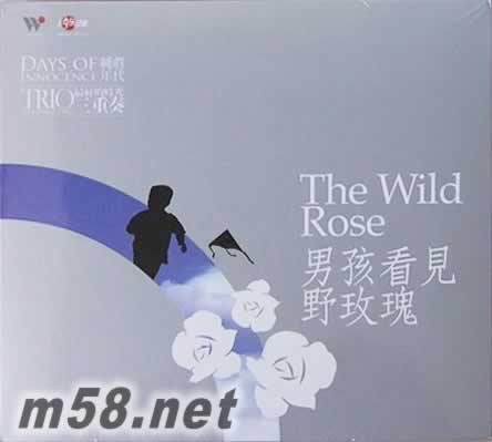 男孩看見野玫瑰(民謠)專輯正面圖片