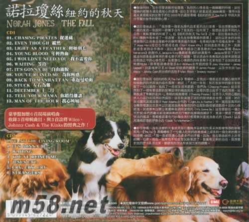 THE FALL 紐約的秋天 2CD+文件夾 臺灣預購版專輯背面圖片