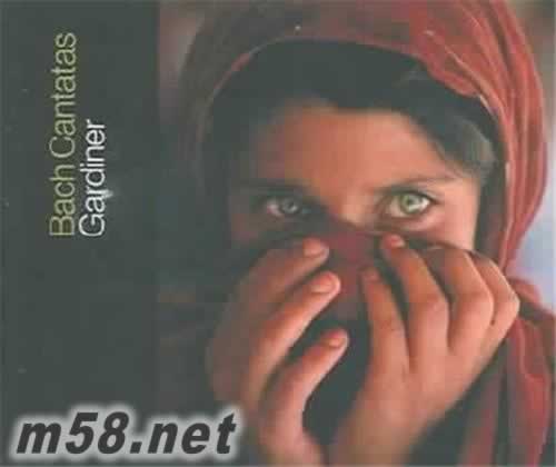 Bach Cantatas Vol.8專輯正面圖片
